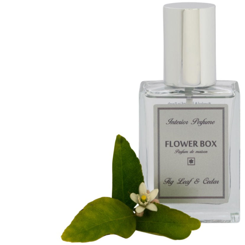 Flower Box Interior Perfume - various fragrances