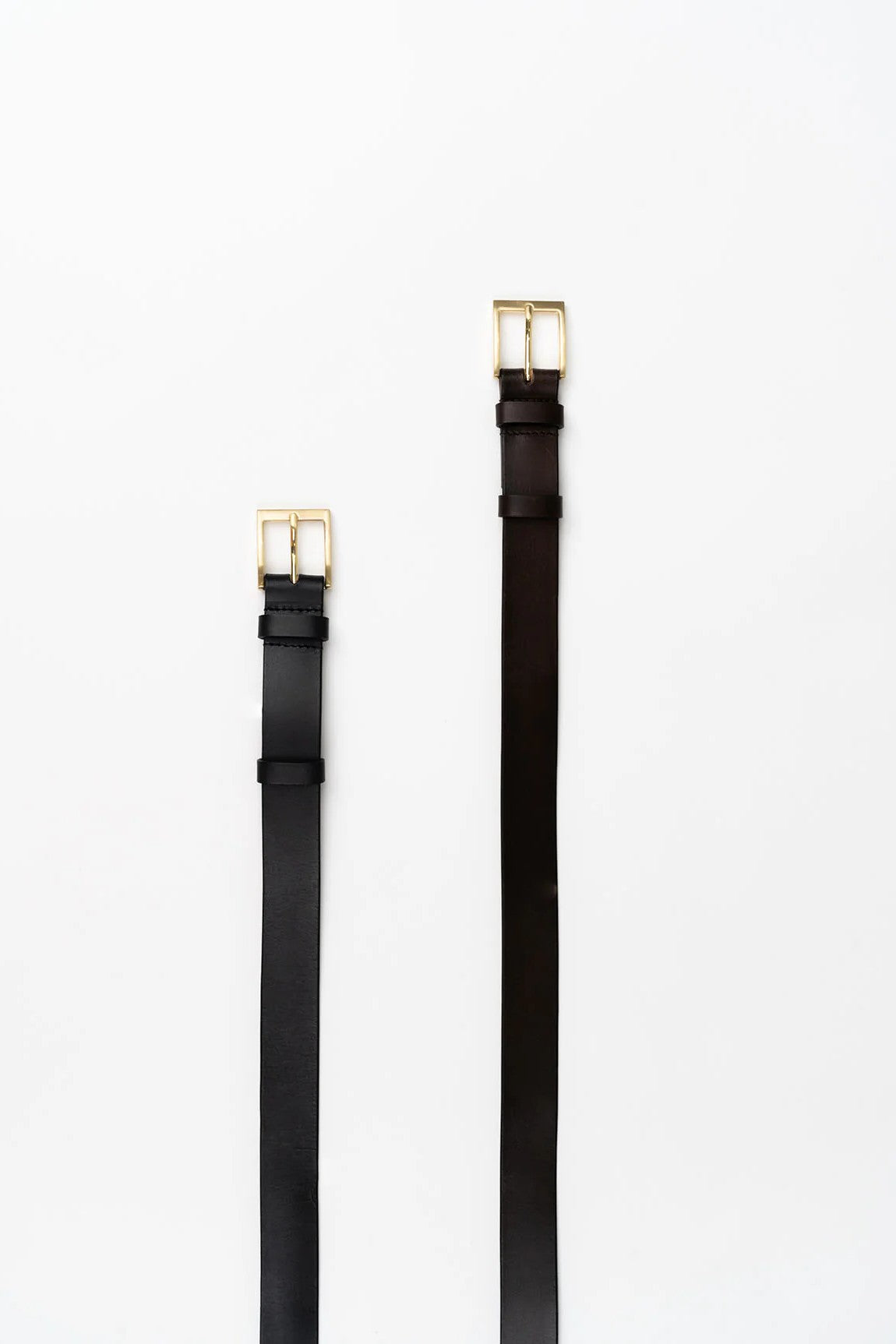 Humidity Classic Belt - cocoa
