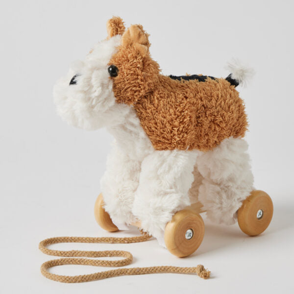 Jiggle & Giggle Plush Pull Along - Duck & Dog