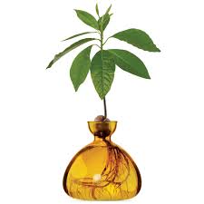 Ilex Avocado Vase