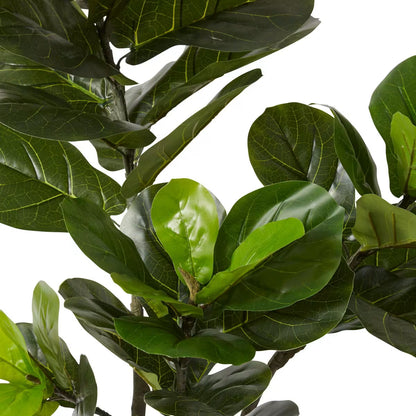 Elme Fiddle Tree Green