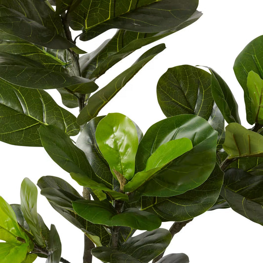 Elme Fiddle Tree Green