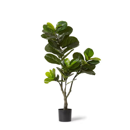 Elme Fiddle Tree Green