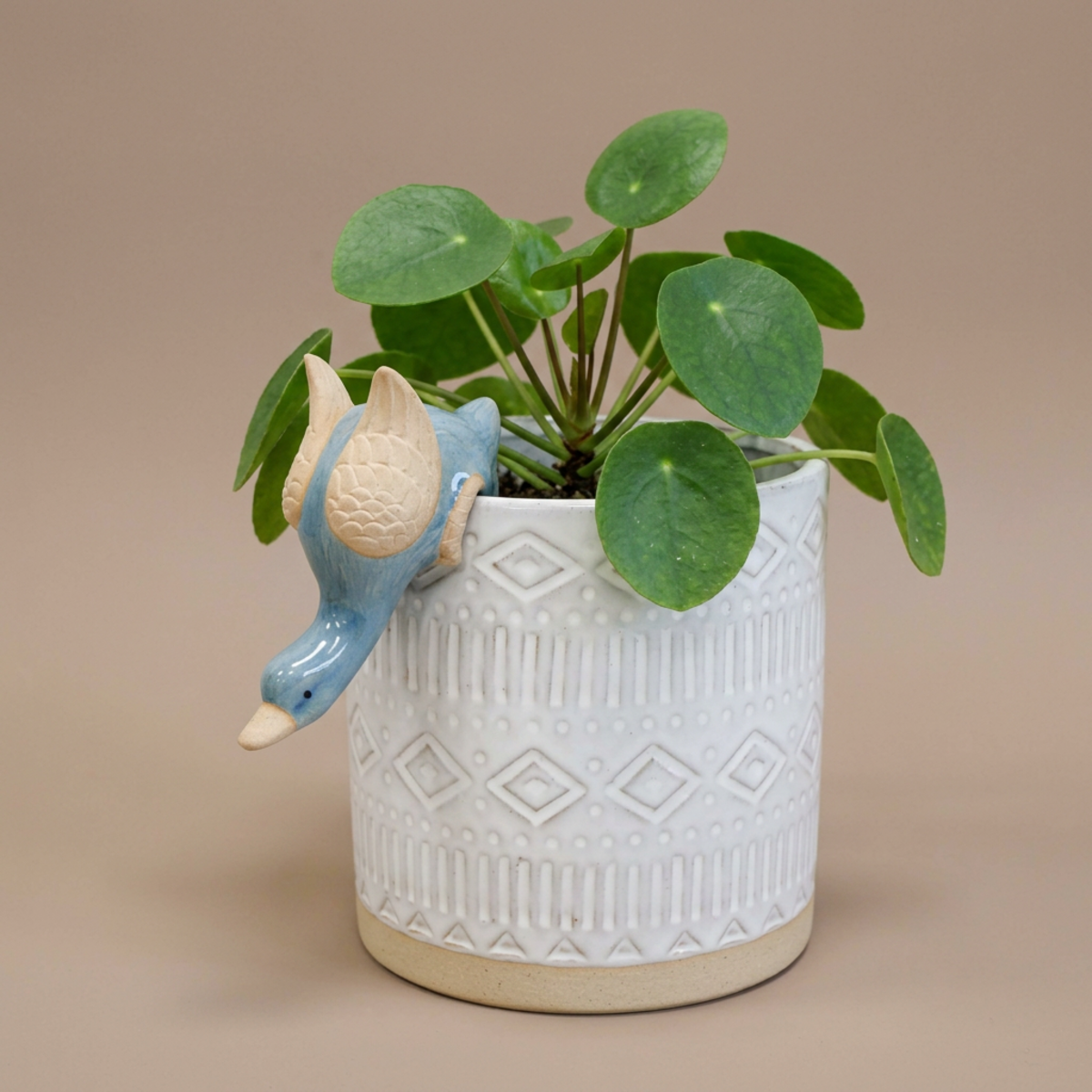 Lavida Pot Sitter