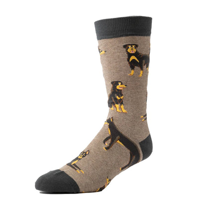 Spencer Flynn  Socks