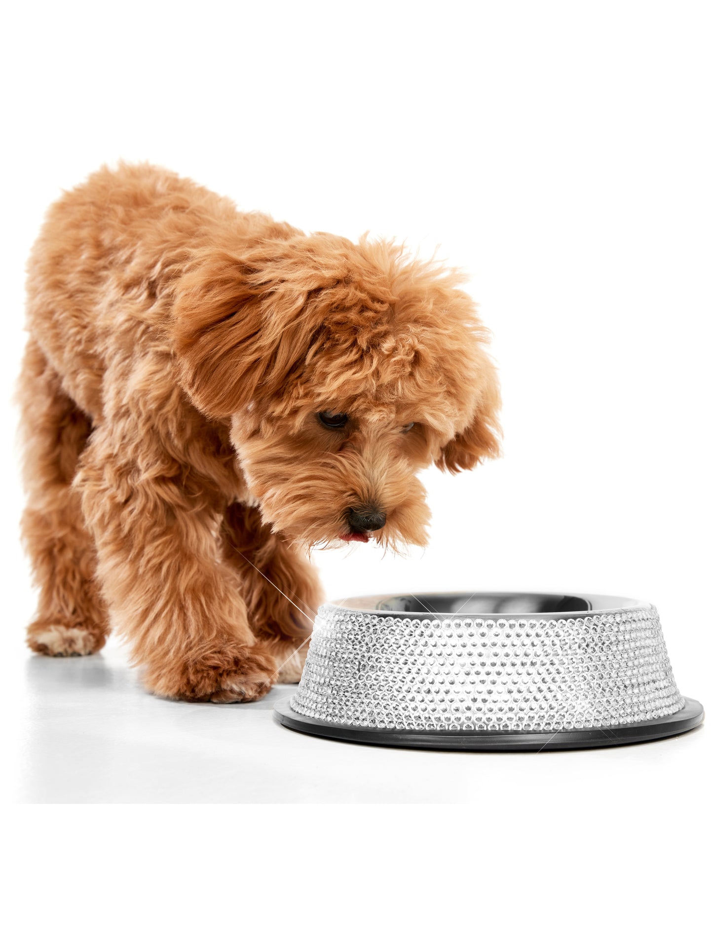 Ogilvies Diamonte Pet Bowl