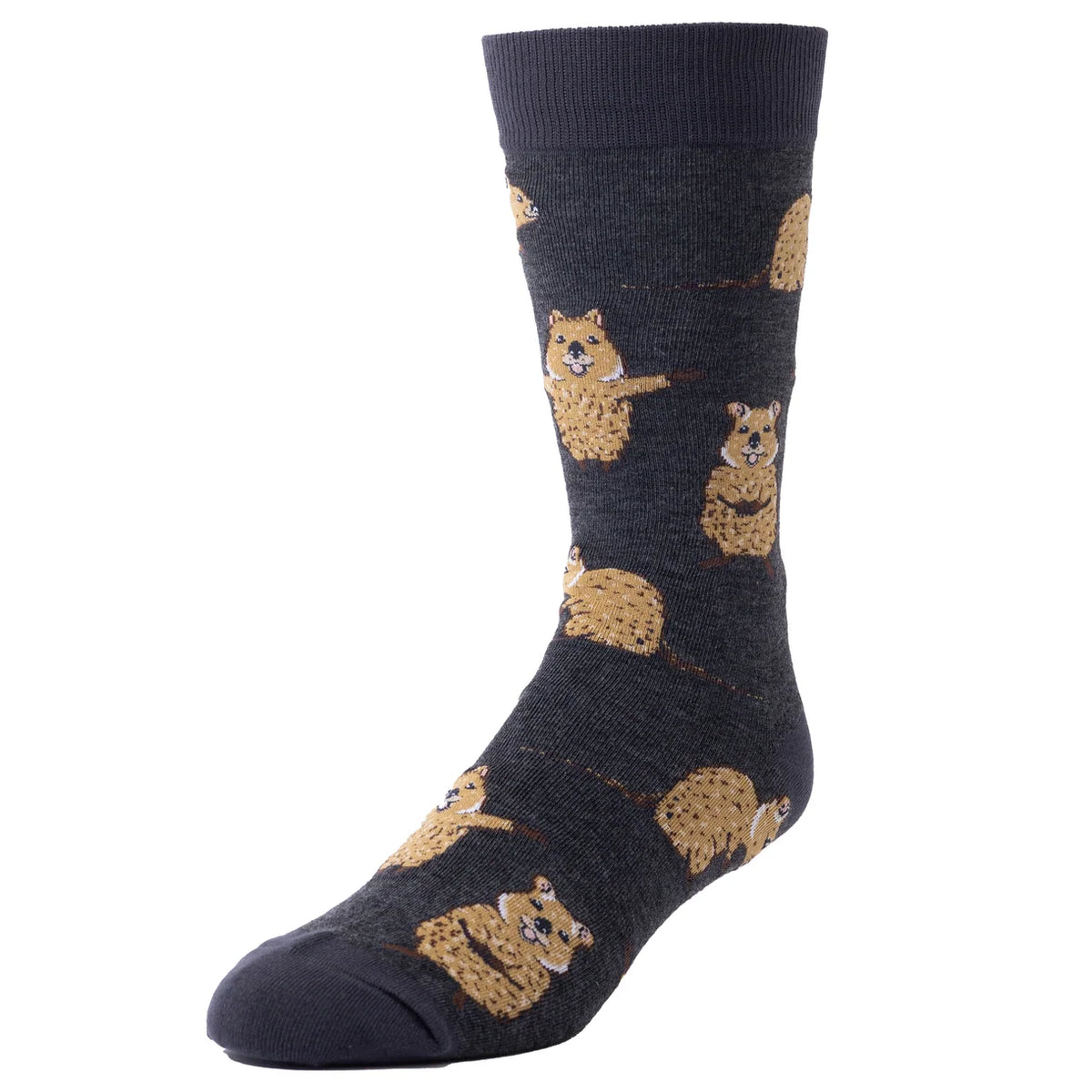 Spencer Flynn  Socks