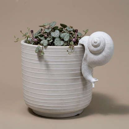 Lavida Pot Sitter