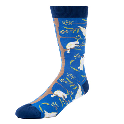 Spencer Flynn  Socks