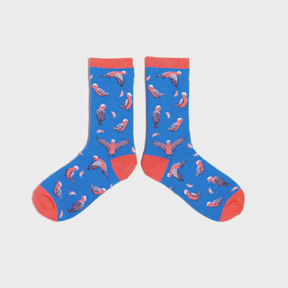 Spencer Flynn  Socks