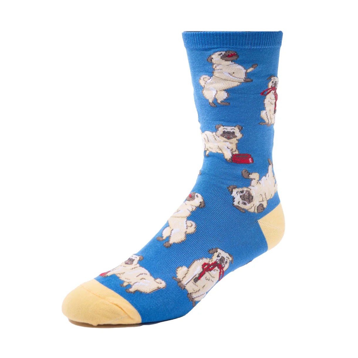 Spencer Flynn  Socks
