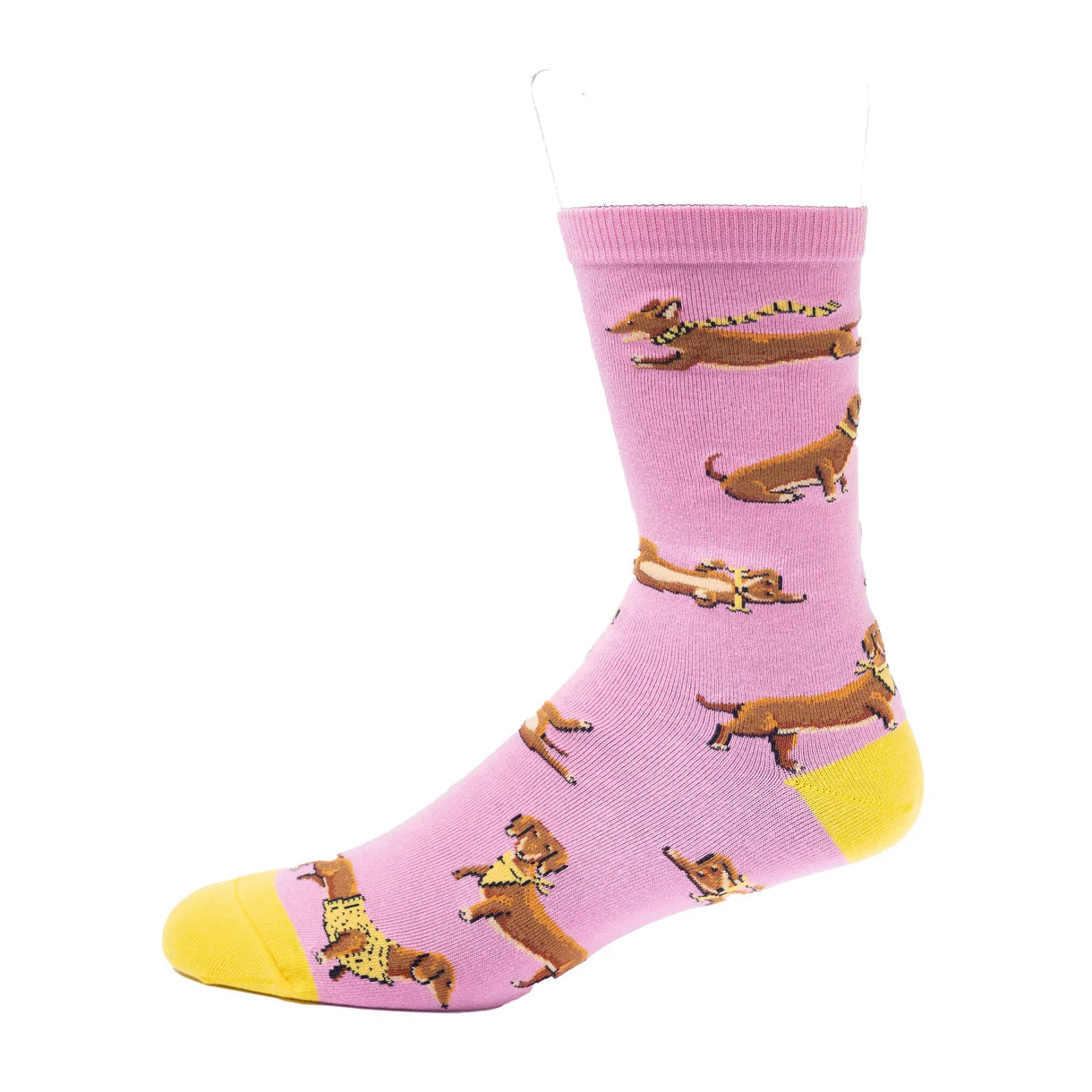 Spencer Flynn  Socks