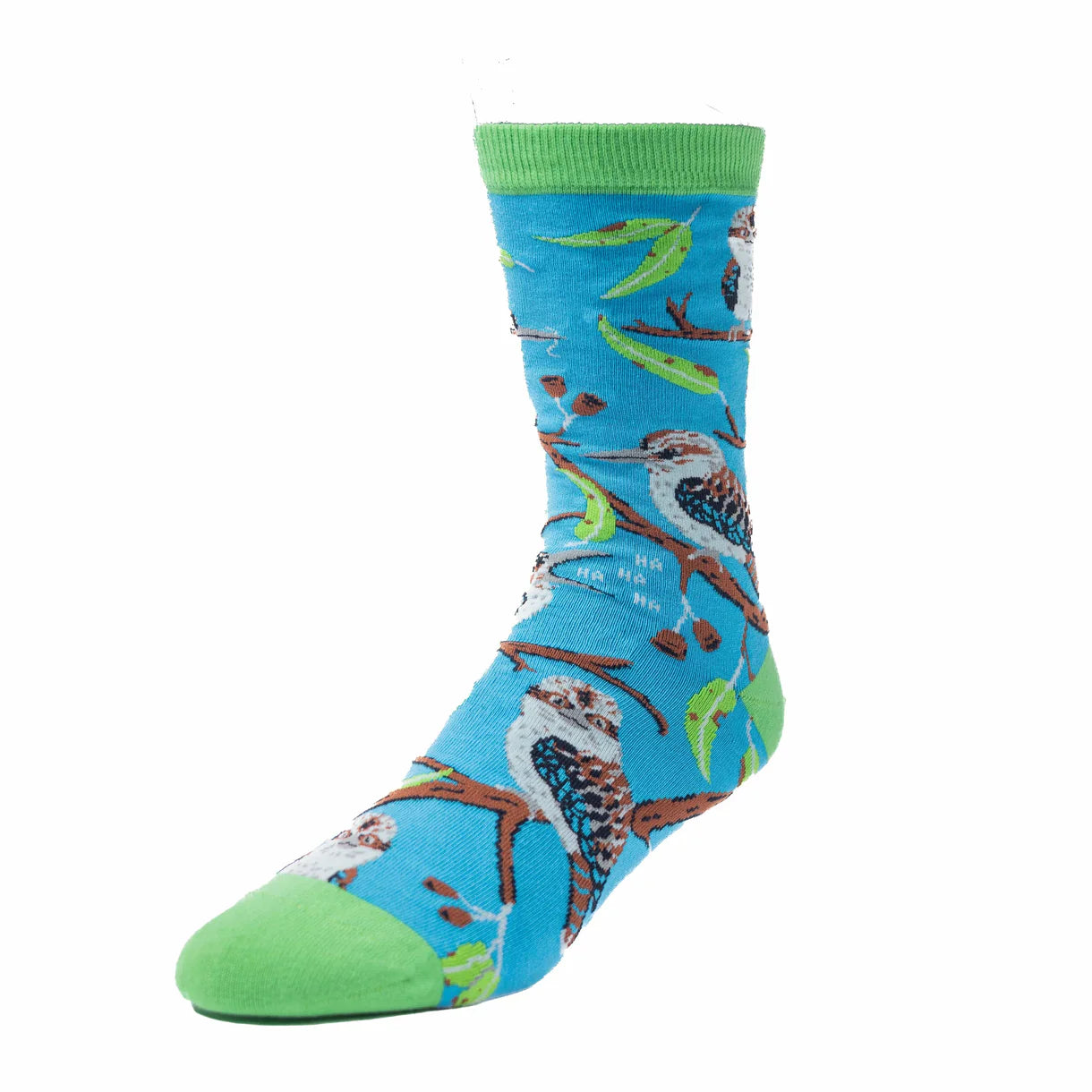 Spencer Flynn  Socks