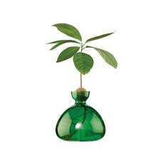 Ilex Avocado Vase